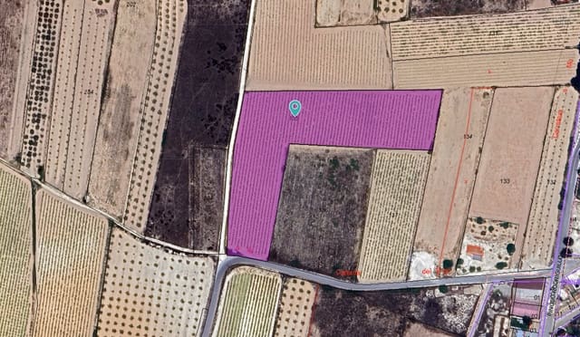 Mark till salu i Pinoso - 53 995 € (Ref: 9543973)