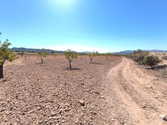 Teren niezagospodarowany na sprzedaż w Monóvar / Monóver - 32 990 € (Ref: 9557400)