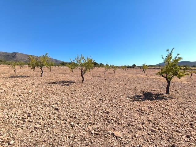 Teren niezagospodarowany na sprzedaż w Monóvar / Monóver - 32 990 € (Ref: 9557400)