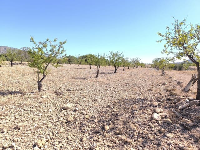 Terreno Non Edificato in vendita in Monóvar / Monóver - 32.990 € (Rif: 9557400)