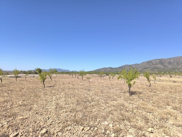 Teren niezagospodarowany na sprzedaż w Monóvar / Monóver - 32 990 € (Ref: 9557400)