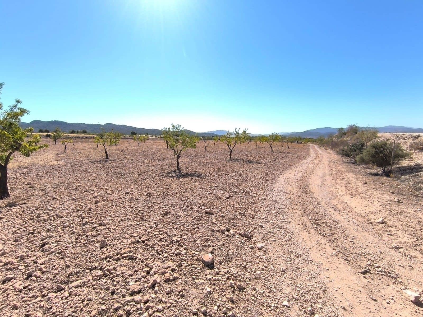 Undeveloped Land for sale in Monovar / Monover - € 32,990 (Ref: 9557400)