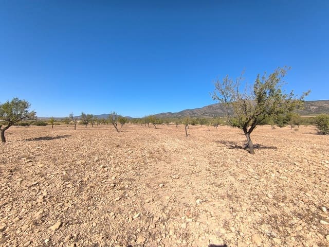 Teren niezagospodarowany na sprzedaż w Monóvar / Monóver - 20 990 € (Ref: 9557401)