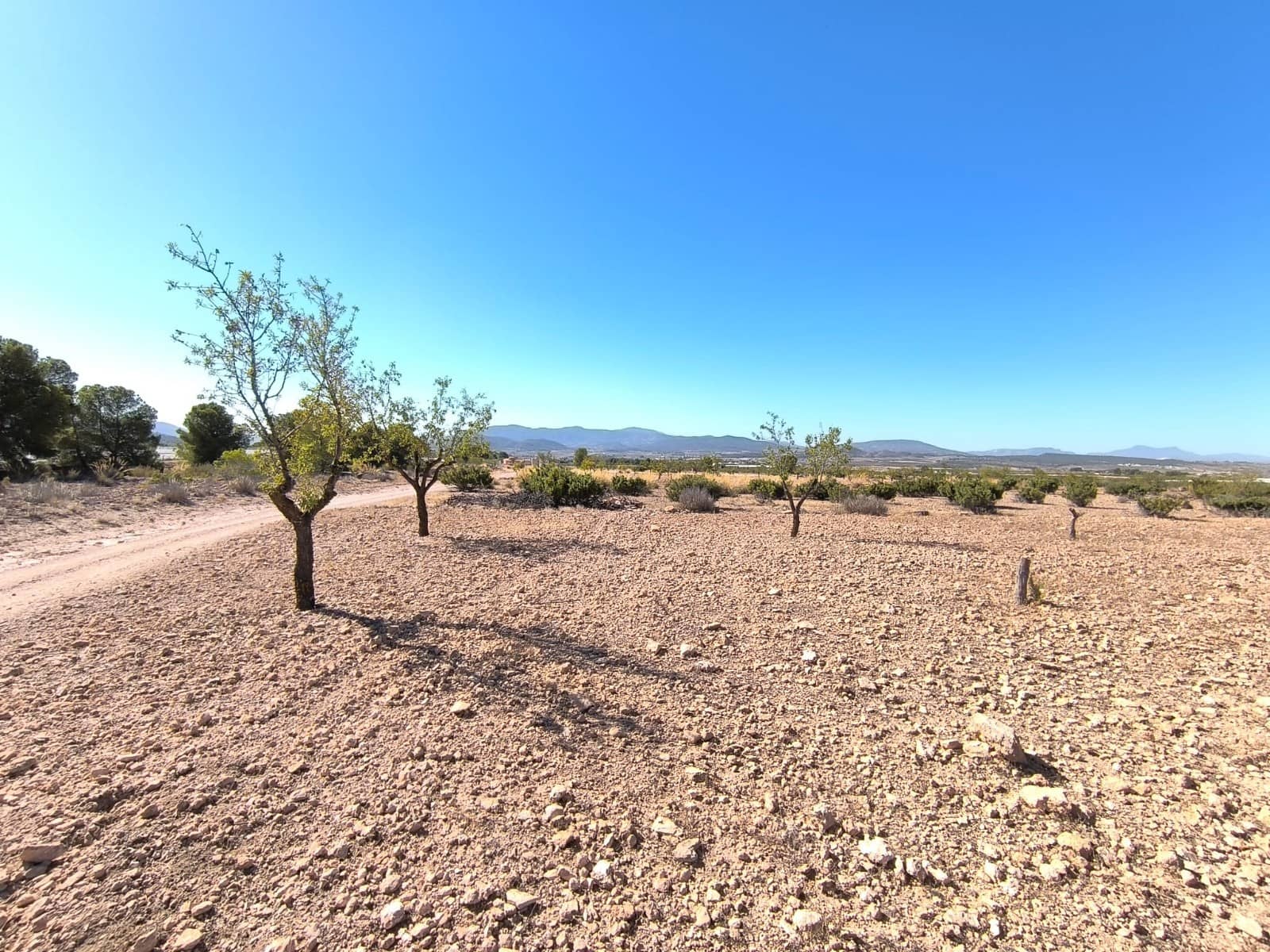 Teren niezagospodarowany na sprzedaż w Monovar / Monover - 20 990 € (Ref: 9557401)