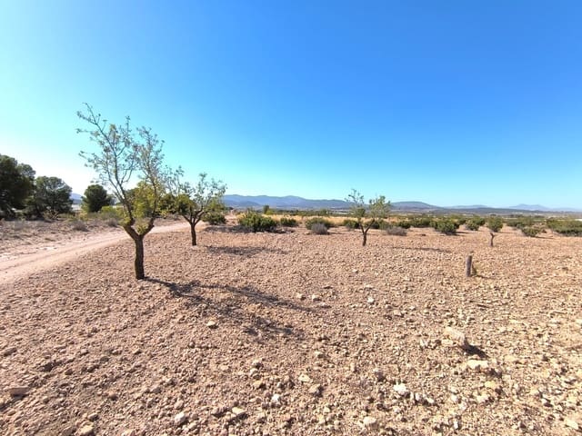 Teren niezagospodarowany na sprzedaż w Monóvar / Monóver - 20 990 € (Ref: 9557401)