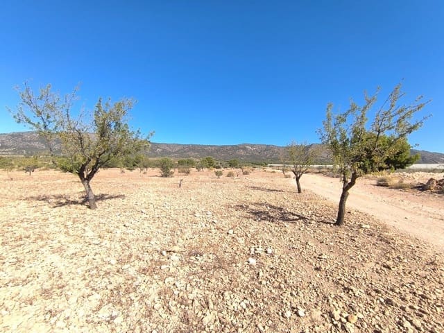 Ubebygd land til salgs i Monóvar / Monóver - € 20 990 (Ref: 9557401)