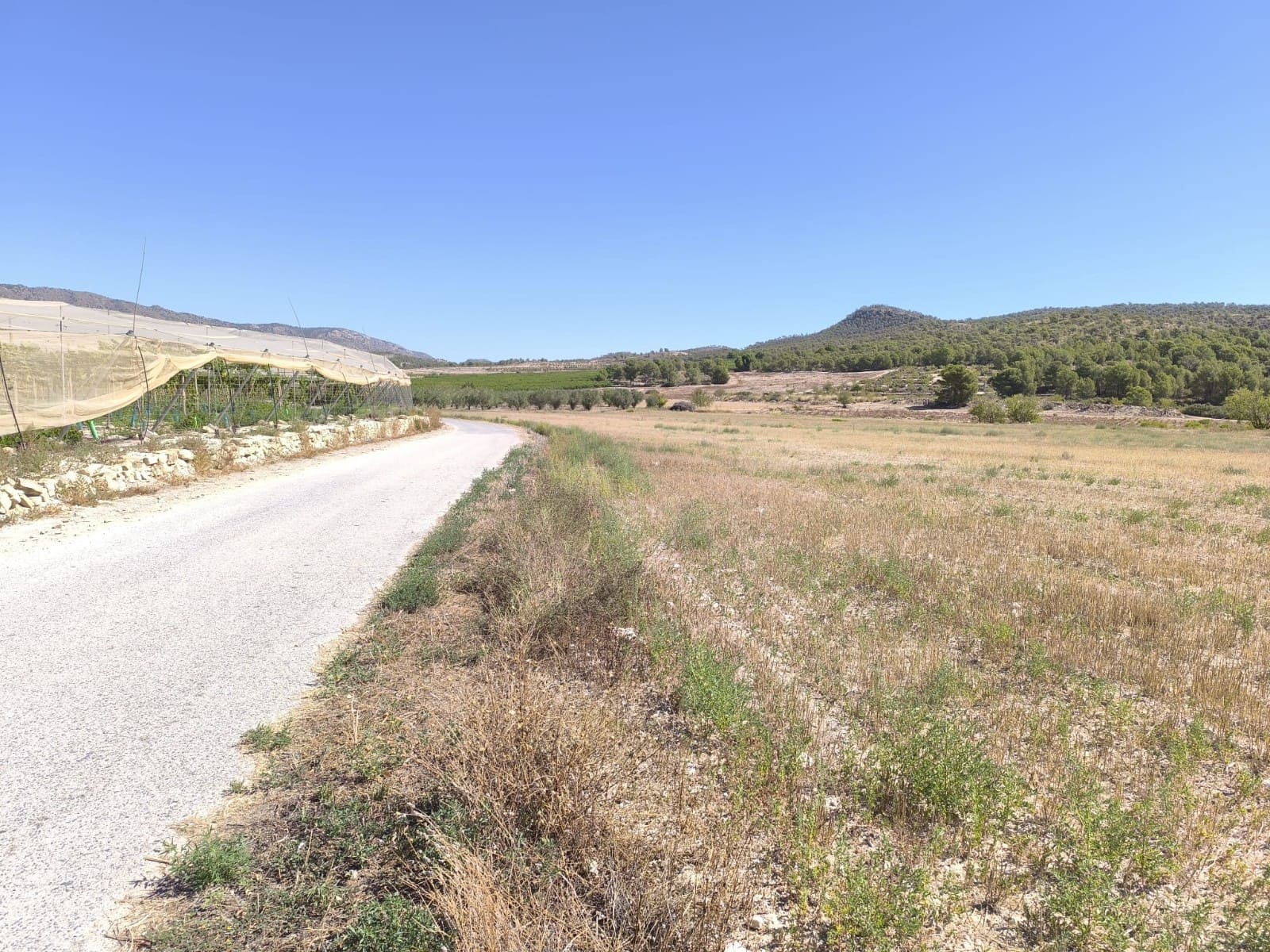 Ubebygd land til salgs i Monovar / Monover - € 35 000 (Ref: 9557402)