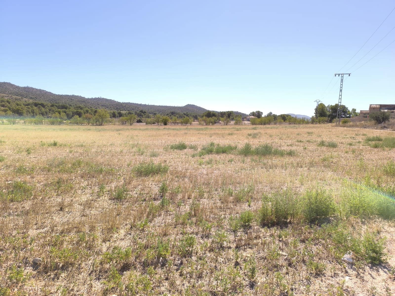 Ubebygd land til salgs i Monovar / Monover - € 35 000 (Ref: 9557402)