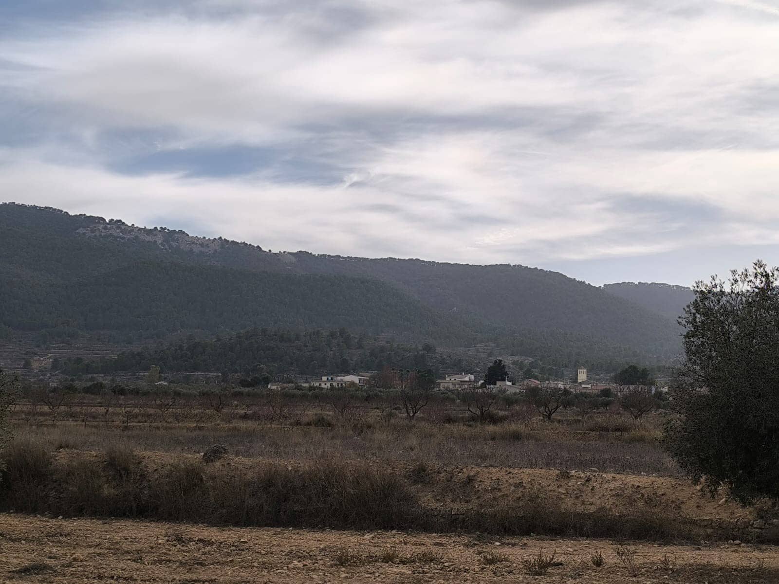 3 sypialnia Willa na sprzedaż w Monovar / Monover z basenem - 395 000 € (Ref: 9566416)