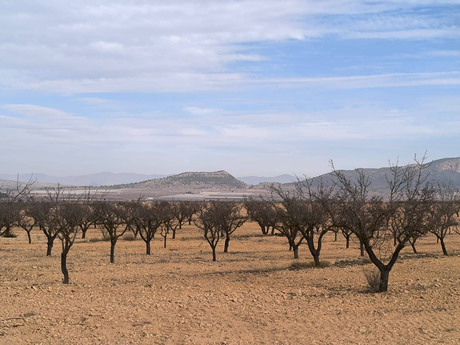 3 sypialnia Willa na sprzedaż w Monovar / Monover z basenem - 395 000 € (Ref: 9566416)