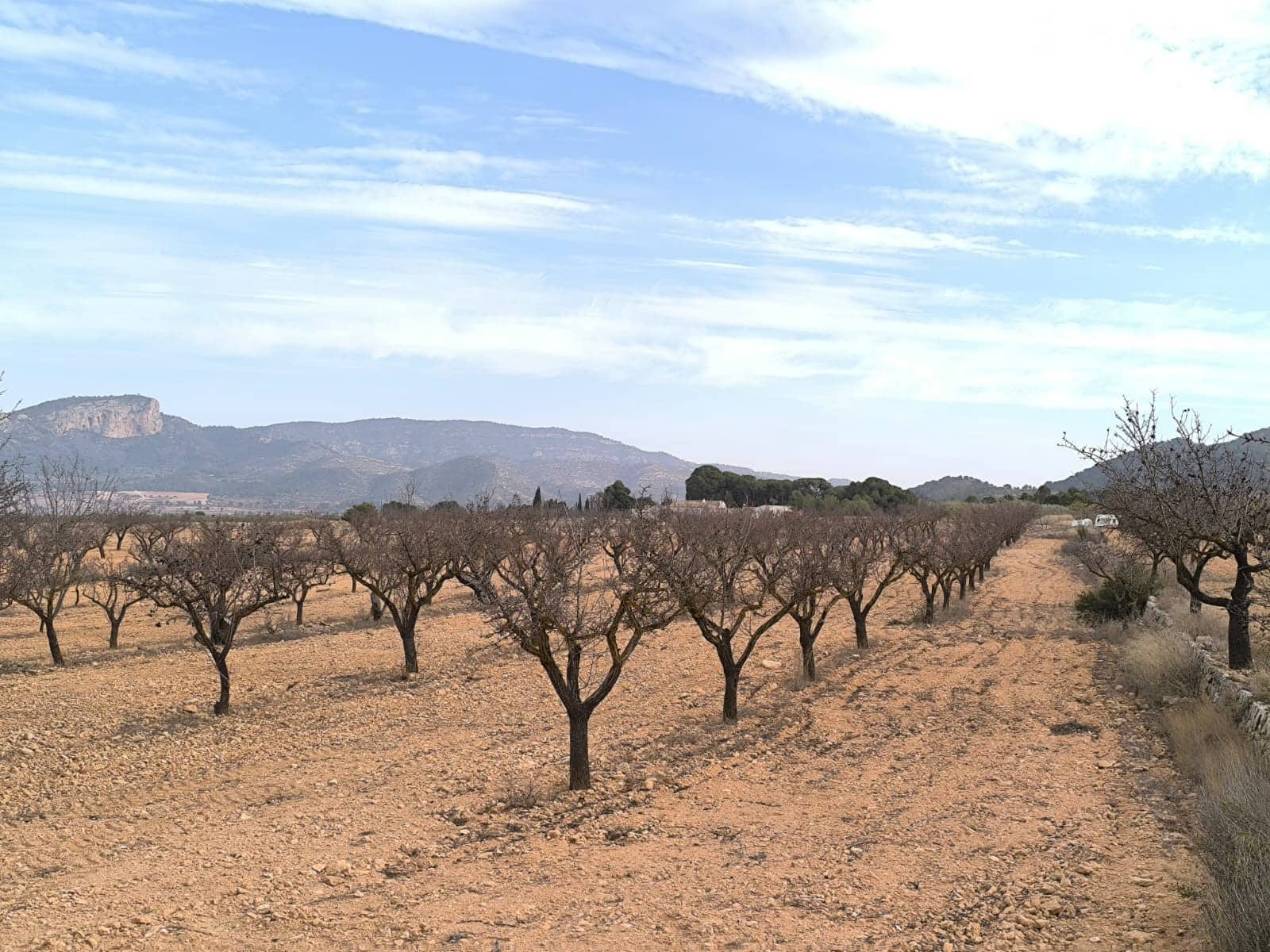 3 sypialnia Willa na sprzedaż w Monovar / Monover z basenem - 395 000 € (Ref: 9566416)