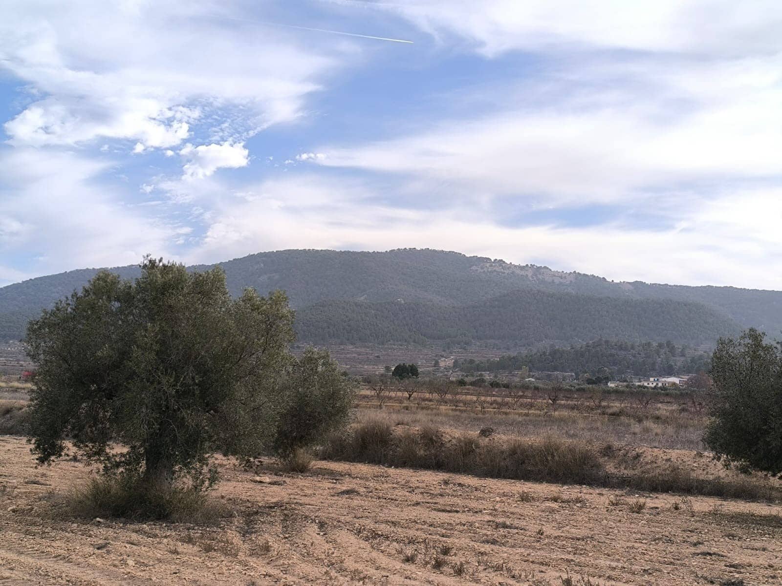 3 sypialnia Willa na sprzedaż w Monovar / Monover z basenem - 395 000 € (Ref: 9566417)