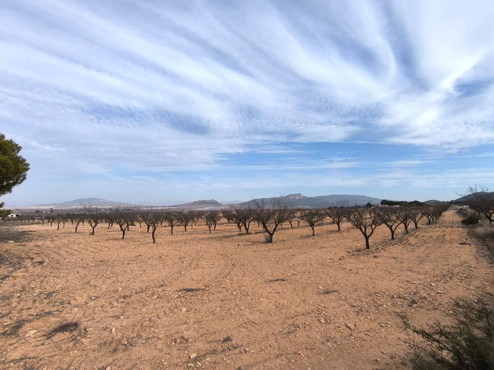 3 sypialnia Willa na sprzedaż w Monovar / Monover z basenem - 395 000 € (Ref: 9566417)