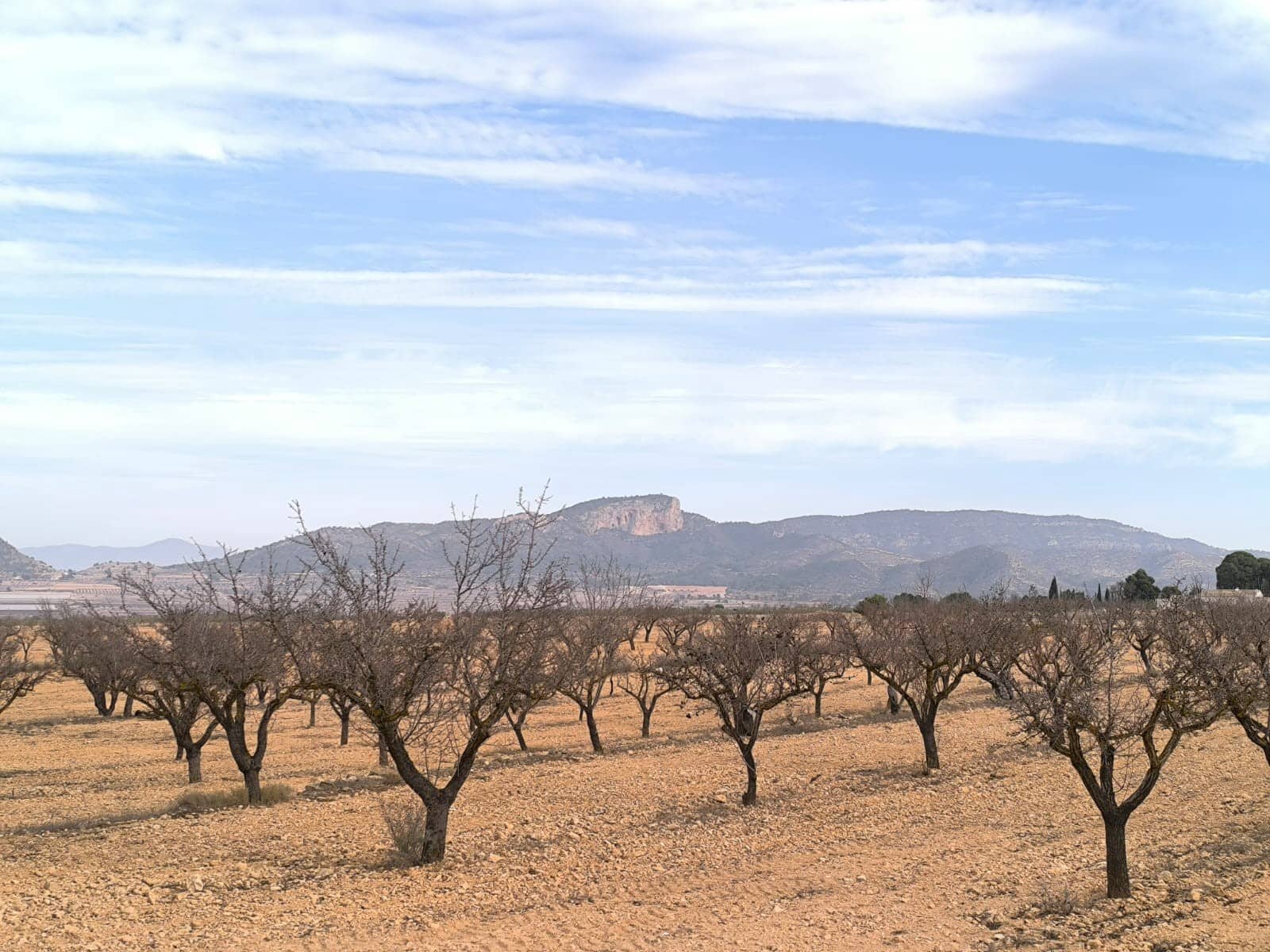 3 sypialnia Willa na sprzedaż w Monovar / Monover z basenem - 395 000 € (Ref: 9566417)