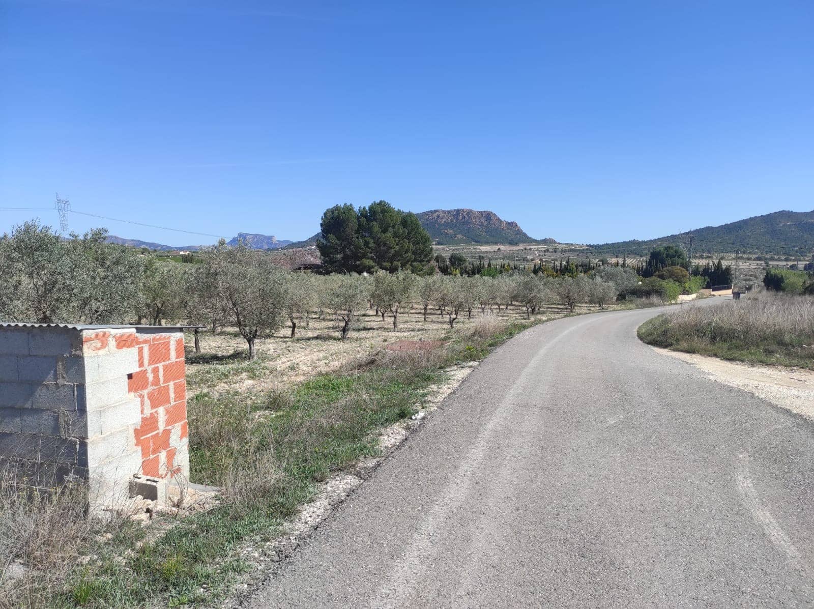 Terreno Non Edificato in vendita in Salinas - 34.995 € (Rif: 9588270)