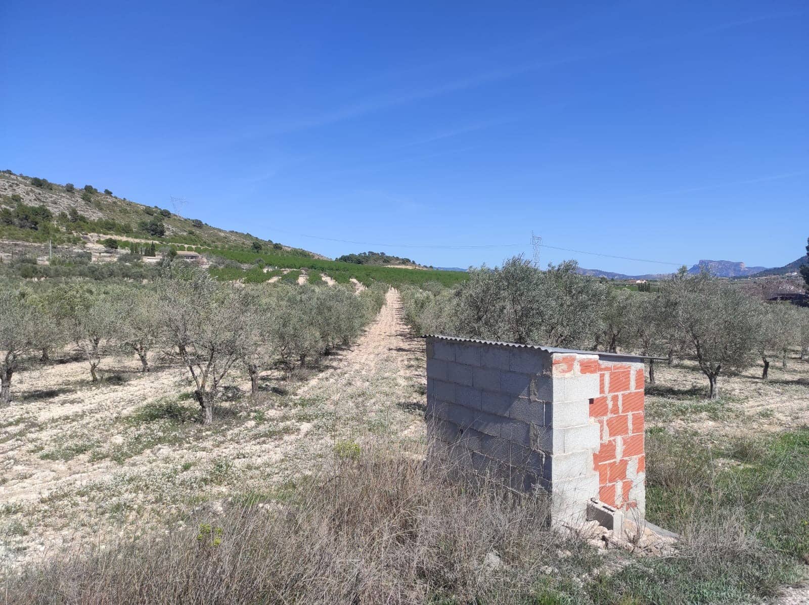 Terreno Non Edificato in vendita in Salinas - 34.995 € (Rif: 9588270)
