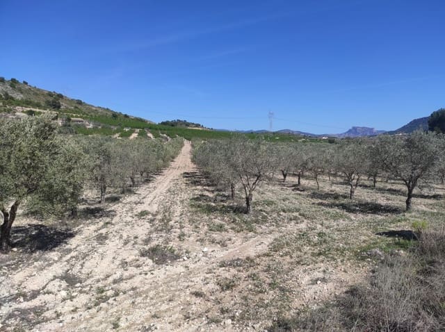 Terreno Non Edificato in vendita in Salinas - 34.995 € (Rif: 9588270)