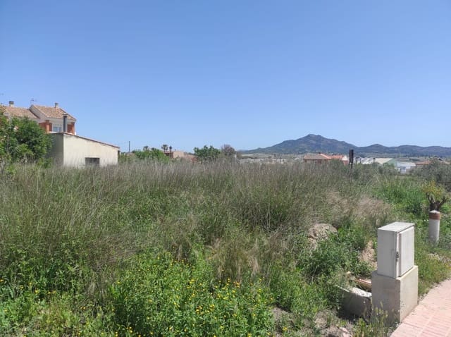 Terreno Non Edificato in vendita in Salinas - 26.000 € (Rif: 9588271)