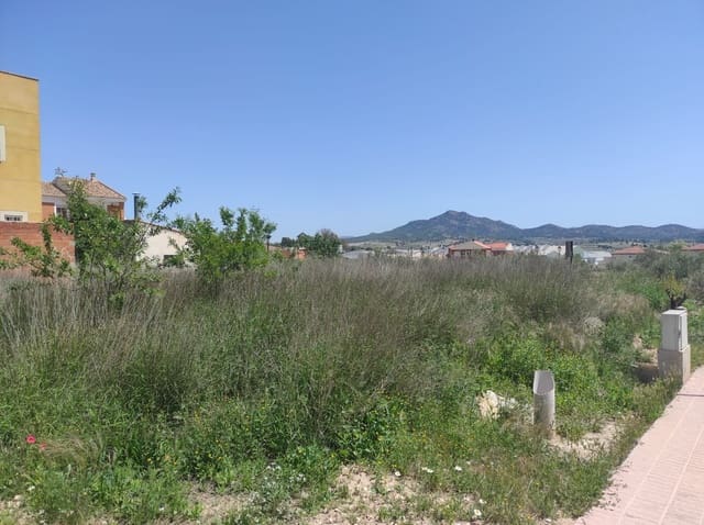 Terreno Non Edificato in vendita in Salinas - 26.000 € (Rif: 9588271)