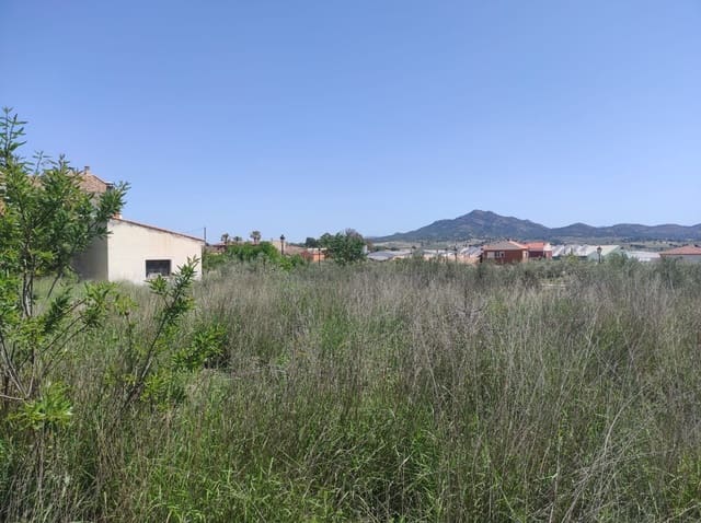 Terreno Non Edificato in vendita in Salinas - 26.000 € (Rif: 9588271)