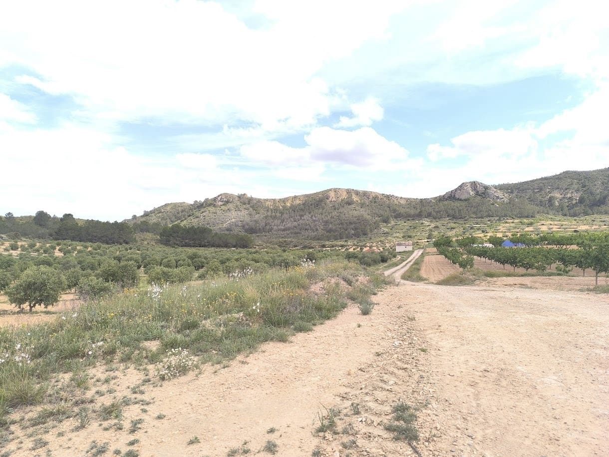 2 bedroom Finca/Country House for sale in Jumilla - € 42,990 (Ref: 9590445)