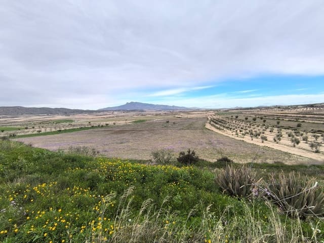 6 soveværelse Finca/Landehus til salg i La Zarza, Jumilla med garage - € 75.000 (Ref: 9602408)