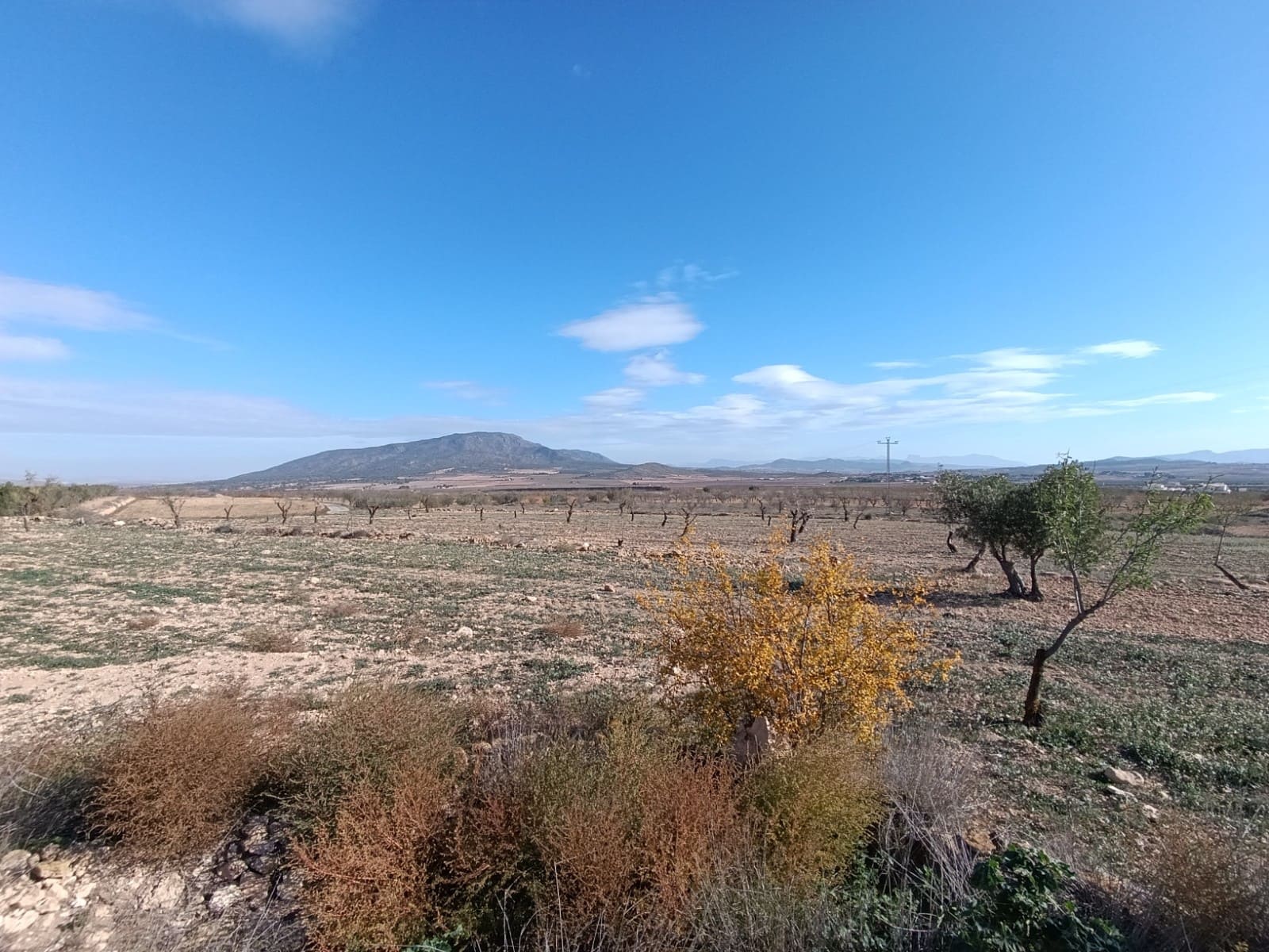 Ruin till salu i Yecla - 56 000 € (Ref: 9614059)