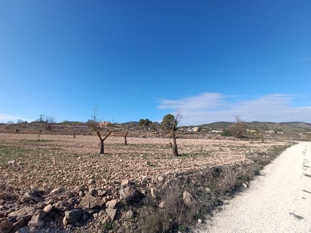 Ruine à vendre à Yecla - 56 000 € (Ref: 9614059)