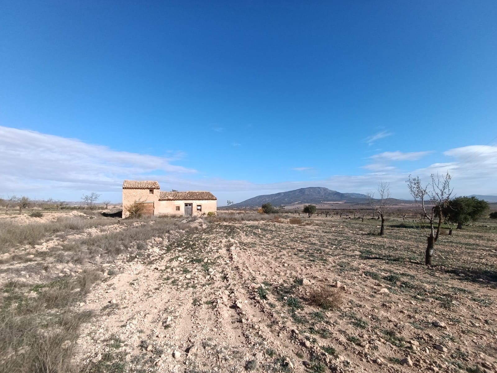 Ruine à vendre à Yecla - 56 000 € (Ref: 9614059)