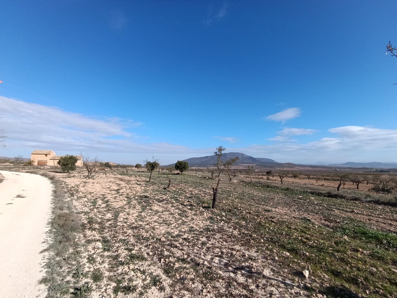 Ruine à vendre à Yecla - 56 000 € (Ref: 9614059)