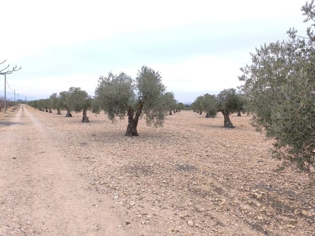 Terre non Aménagée à vendre à Yecla - 52 500 € (Ref: 9646490)
