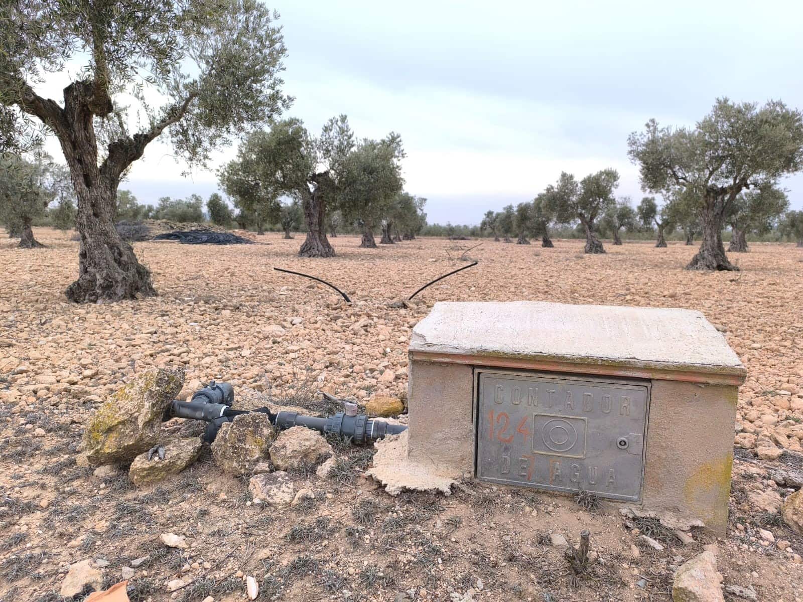 Terre non Aménagée à vendre à Yecla - 52 500 € (Ref: 9646490)