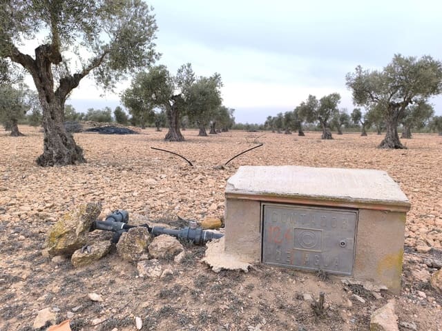 Terre non Aménagée à vendre à Yecla - 52 500 € (Ref: 9646490)