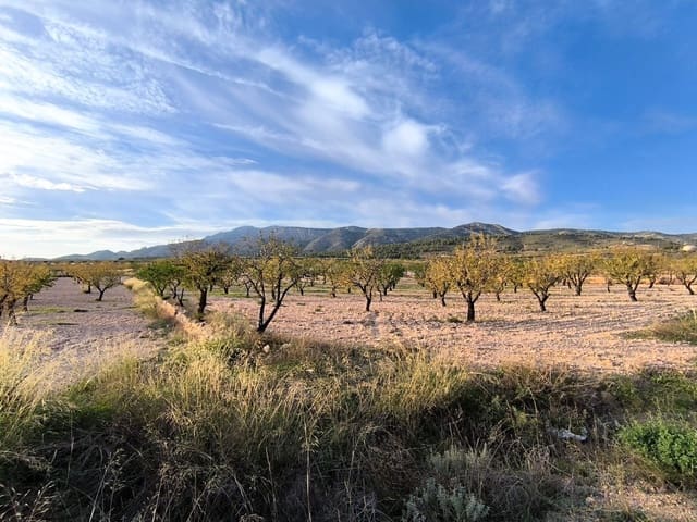 Grond te koop in La Alberquilla, Jumilla - € 26.900 (Ref: 9658091)