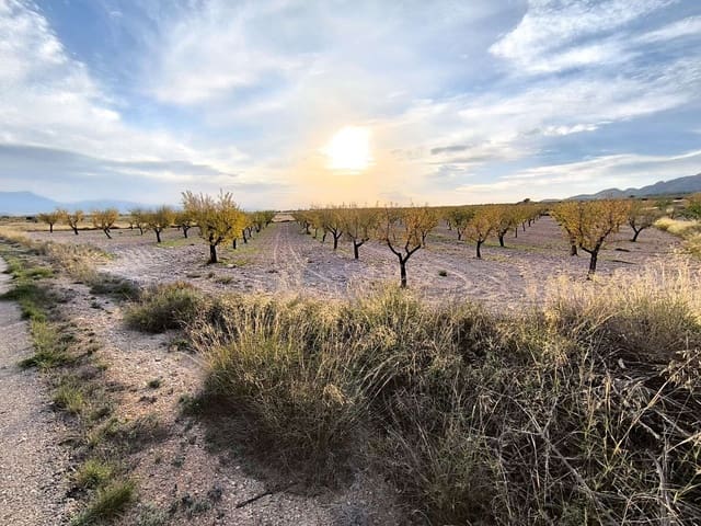 Grond te koop in La Alberquilla, Jumilla - € 26.900 (Ref: 9658091)