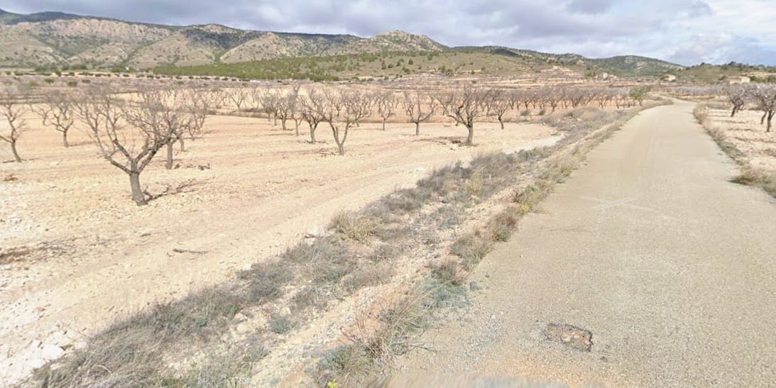 Terreno/Finca Rústica en Pinoso en venta - 23.000 € (Ref: 9658156)