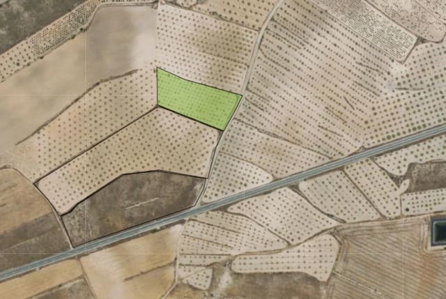 Undeveloped Land for sale in La Alberquilla, Jumilla - € 23,000 (Ref: 9658156)