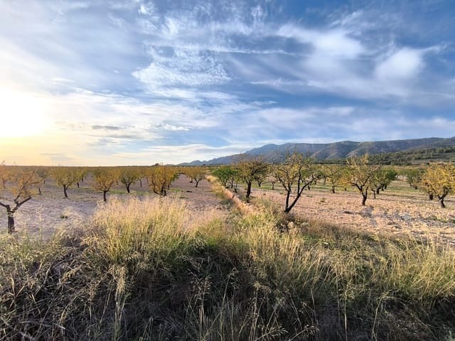 Grond te koop in La Alberquilla, Jumilla - € 23.000 (Ref: 9658156)