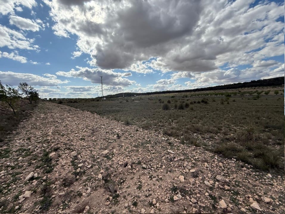 Terre non Aménagée à vendre à Yecla - 28 000 € (Ref: 9662226)