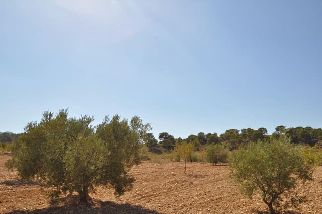 Terreno/Finca Rústica en Torre del Rico, Jumilla en venta - 33.995 € (Ref: 9669559)
