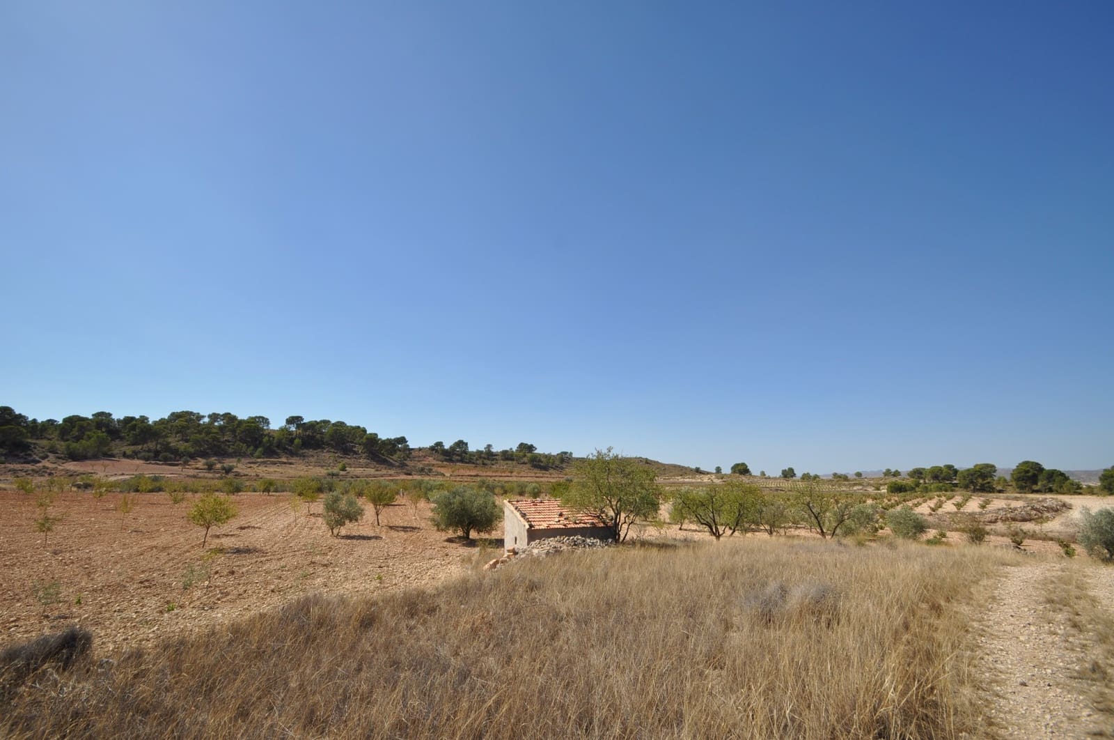 Mark till salu i Torre del Rico - 33 995 € (Ref: 9669559)