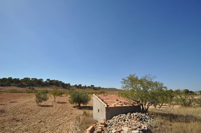 Terreno/Finca Rústica en Torre del Rico, Jumilla en venta - 33.995 € (Ref: 9669559)