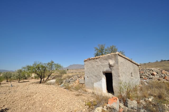 Terre non Aménagée à vendre à Torre del Rico, Jumilla - 33 995 € (Ref: 9669559)