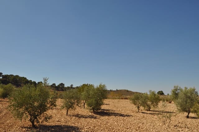 Terre non Aménagée à vendre à Torre del Rico, Jumilla - 33 995 € (Ref: 9669559)