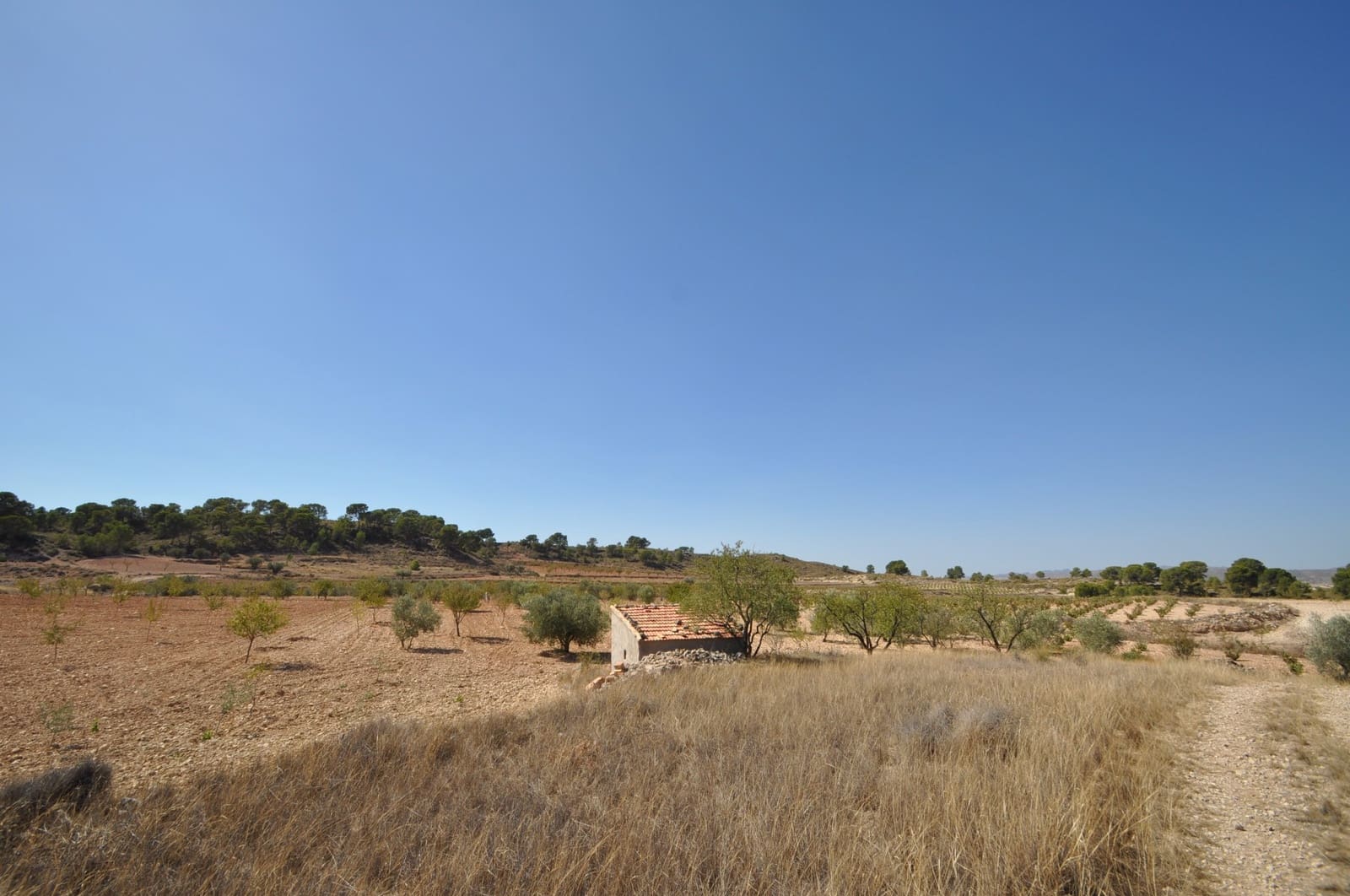 Terre non Aménagée à vendre à Torre del Rico - 33 995 € (Ref: 9669559)