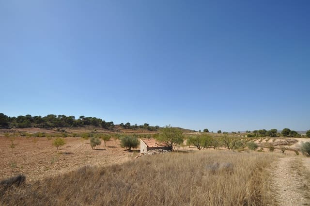 Terre non Aménagée à vendre à Torre del Rico, Jumilla - 33 995 € (Ref: 9669559)