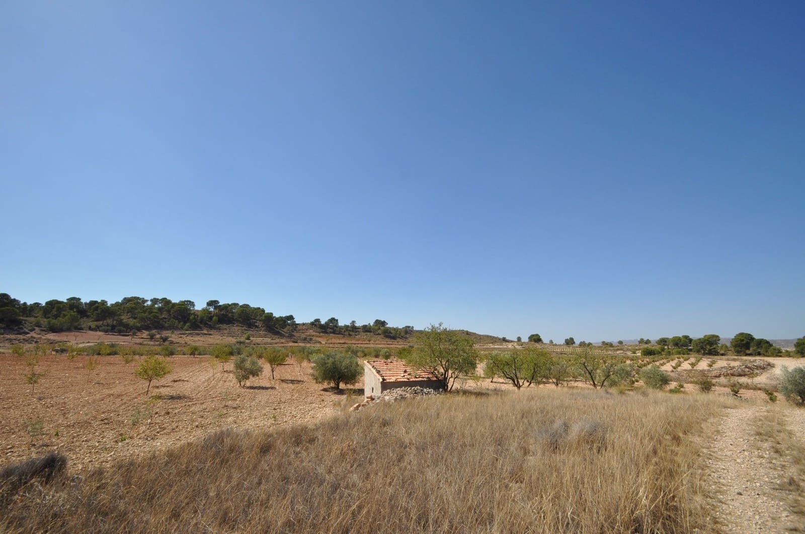 Undeveloped Land for sale in Torre del Rico - € 33,995 (Ref: 9669559)