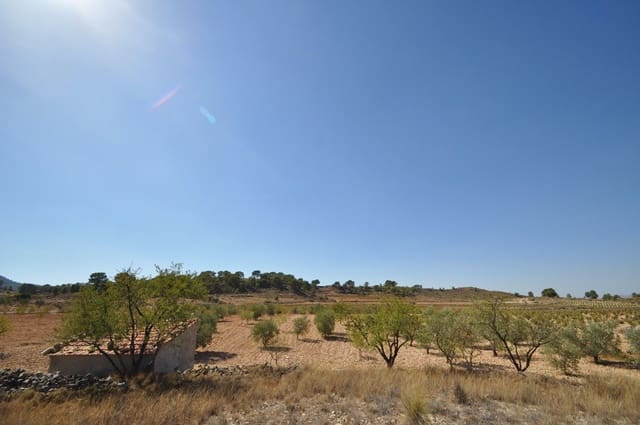 Grunde uden byggetilladelser til salg i Torre del Rico, Jumilla - € 33.995 (Ref: 9669559)