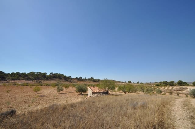 Grunde uden byggetilladelser til salg i Torre del Rico, Jumilla - € 33.995 (Ref: 9669559)