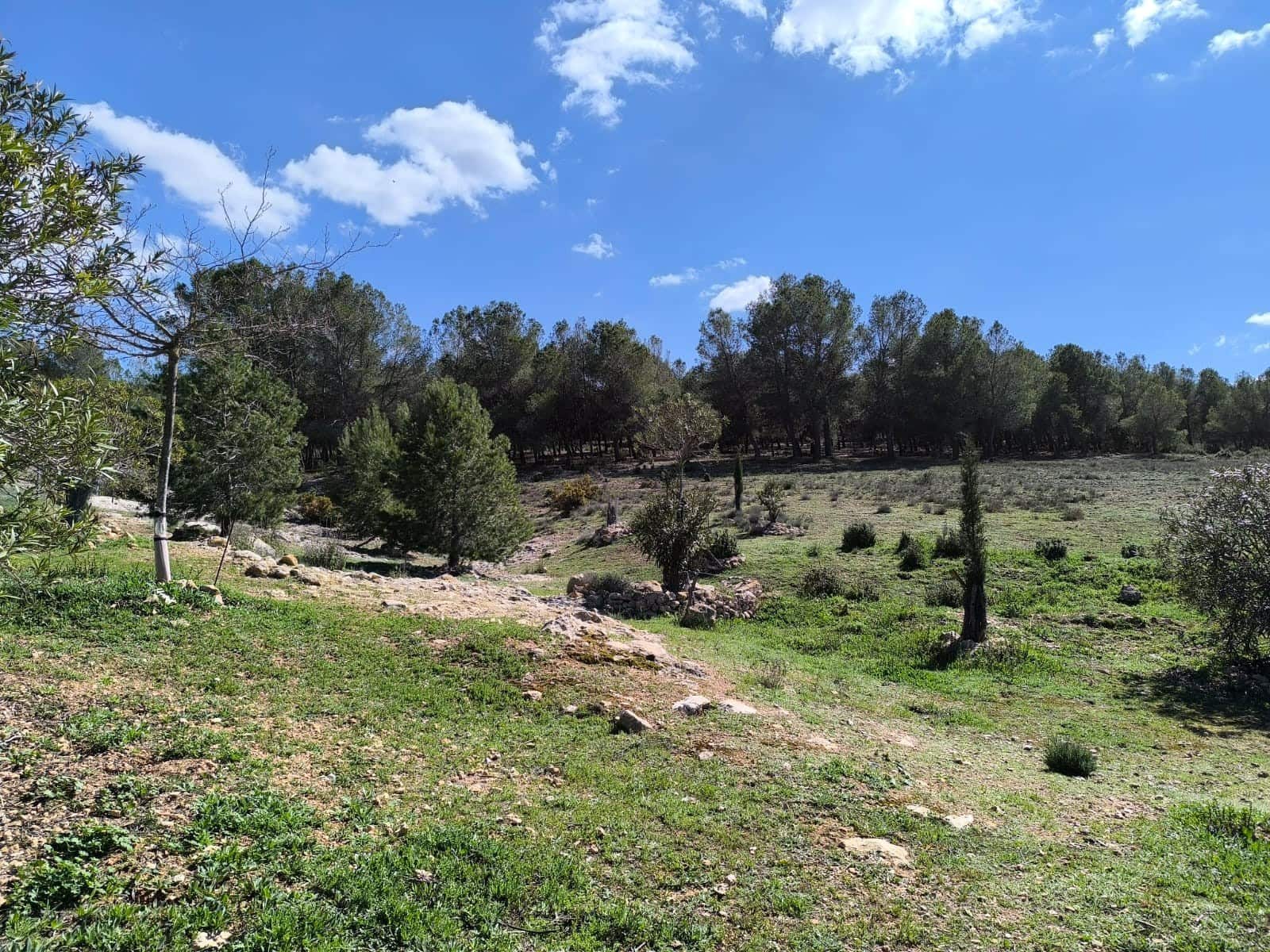 4 bedroom Finca/Country House for sale in Villena with pool garage - € 499,995 (Ref: 9683337)